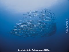 Mediante resolución publicada hoy en el BOE