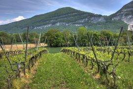 Mediante resolución publicada hoy en el BOE