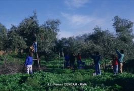 Consejo de Ministros