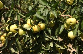 Hoy en el Consejo de Ministros