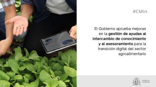 Hoy, en Consejo de Ministros