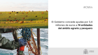 Hoy, en Consejo de Ministros