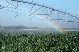 Mediante adenda publicada en el BOE