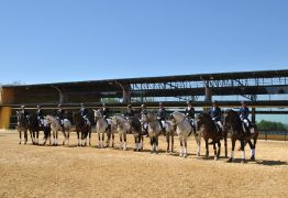 Hoy en el marco de la Jornada “Trabajando con el sector equino” en Jerez de la Frontera 