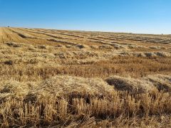 Publicado un nuevo listado de concesión en la página web del FEGA