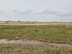 Hoy, en la página web del FEGA