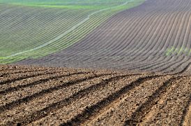 HOY, EN LA PRIMERA REUNIÓN DEL GRUPO DE ALTO NIVEL DE LA UE