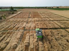 Se trata de una fase clave para la comercialización