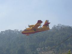 Solicitada ayer, a través del Mecanismo Europeo de Emergencia 