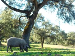 El convenio se ha publicado en el Boletín Oficial del Estado