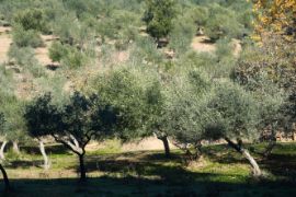 HOY, EN CONSEJO DE MINISTROS