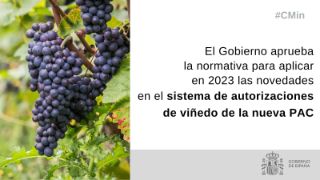 HOY, EN EL CONSEJO DE MINISTROS