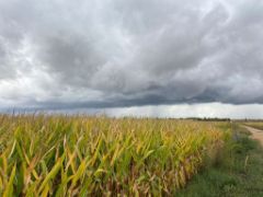 HOY, EN CONSEJO DE MINISTROS