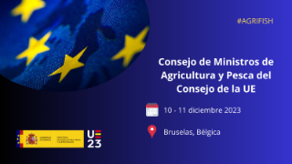 En Bruselas, el domingo, día 10, y el lunes 11 de diciembre