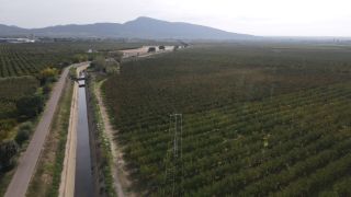 Para mejorar la eficiencia y sostenibilidad de las explotaciones  