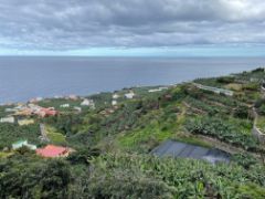 PROMOVIDAS POR EL MINISTERIO DE AGRICULTURA, PESCA Y ALIMENTACIÓN