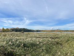 A través de la empresa pública instrumental Seiasa