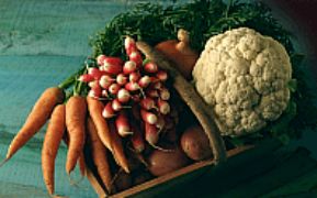 PUBLICADO TRAS MÁS DE CUATRO AÑOS DE INTENSAS NEGOCIACIONES