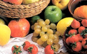 PUBLICADA LA NUEVA NORMA HOY EN EL BOE 