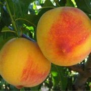 PARA LOGRAR UN EQUILIBRIO ENTRE OFERTA Y DEMANDA 