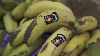 Entre el 22 de diciembre y el 5 de enero 

