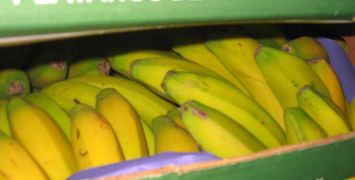 HOY, EN EL CONSEJO DE MINISTROS 