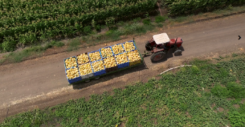 El lunes, día 25, en la Fundació Joan Miró de Barcelona