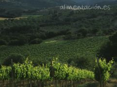 PUBLICADO HOY EN EL BOE