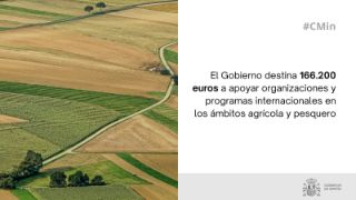 Hoy, en el Consejo de Ministros 