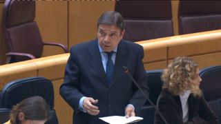 HOY, EN EL PLENO DEL SENADO