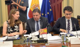 CONSEJO CONSULTIVO DE POLÍTICA AGRÍCOLA PARA ASUNTOS COMUNITARIOS