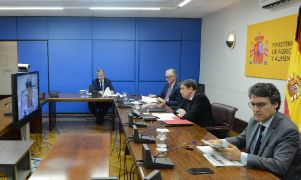 EN UNA REUNIÓN CELEBRADA HOY, POR VIDEOCONFERENCIA 