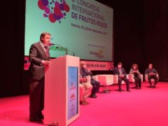 HOY, EN EL VI CONGRESO INTERNACIONAL DE FRUTOS ROJOS EN HUELVA 