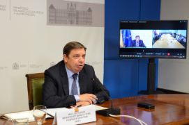 HOY, POR VIDEOCONFERENCIA