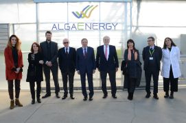 Hoy, en una visita a la planta tecnológica de experimentación de microalgas de  Algaenergy