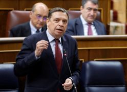 Hoy, en la sesión de control al Gobierno en el Congreso de los Diputados