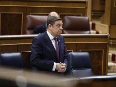 Hoy, en respuestas parlamentarias en el Congreso de los diputados 