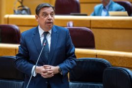 Esta tarde, en el Senado 