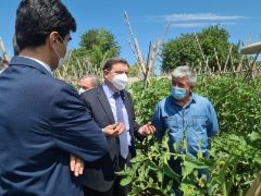 Hoy, en Coín (Málaga) 