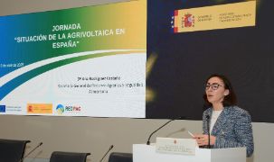 Hoy, en Madrid, en una jornada para analizar este tipo de proyectos 