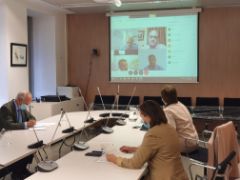 Por videoconferencia