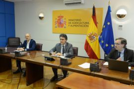 HOY, EN UNA VIDEOCONFERENCIA PRESIDIDA POR EL SECRETARIO GENERAL DE AGRICULTURA Y ALIMENTACIÓN 