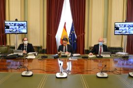 XLIII reunión plenaria, presidida por el secretario general de Agricultura y Alimentación 