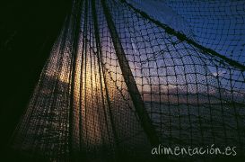 Reunión anual de la Comisión Internacional para la Conservación del Atún Atlánticos (ICCAT)