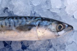 Mediante resolución publicada hoy en el Boletín Oficial del Estado