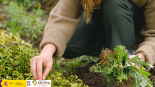 Hasta el 24 de noviembre, a través de la sede electrónica del ministerio