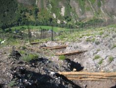  EN EL MARCO DE LAS ACTUACIONES DE COLABORACIÓN CON LAS CCAA 