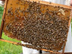 MEDIANTE UN CONVENIO DE COLABORACIÓN SUSCRITO CON LA UNIVERSIDAD POLITÉCNICA DE VALENCIA, PUBLICADO HOY EN EL BOE 