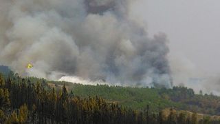 DECLARADO EL PASADO 20 DE JULIO 