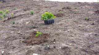 SE PRODUJO A MEDIADOS DE OCTUBRE DE 2017 